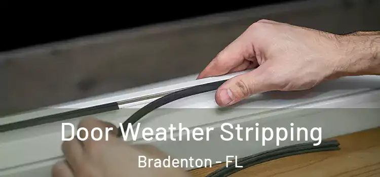  Door Weather Stripping Bradenton - FL