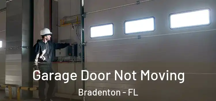  Garage Door Not Moving Bradenton - FL