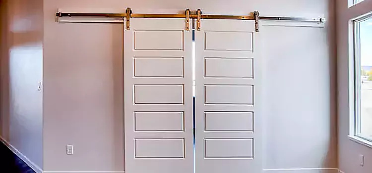 Glass Barn Door with Installation Hardware Kit Bradenton