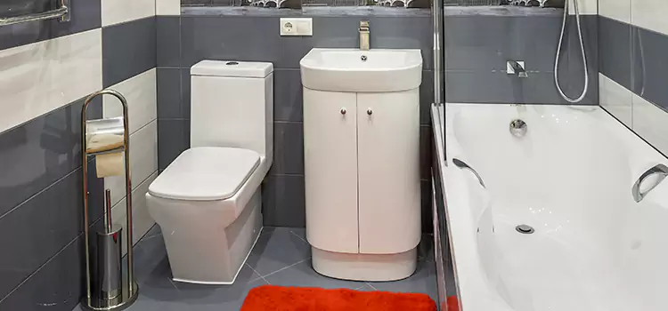 Hansgrohe Shaving Mirror Bradenton