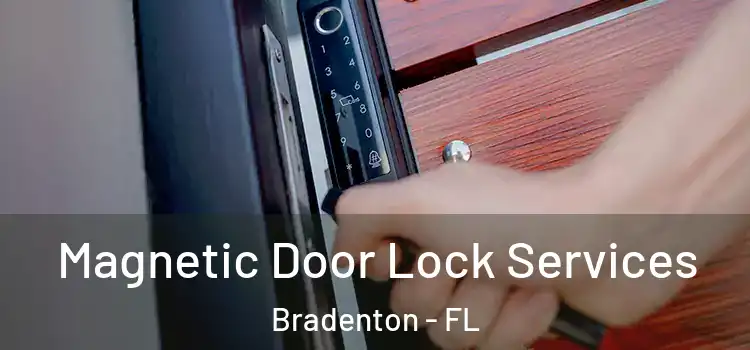 Magnetic Door Lock Services Bradenton - FL